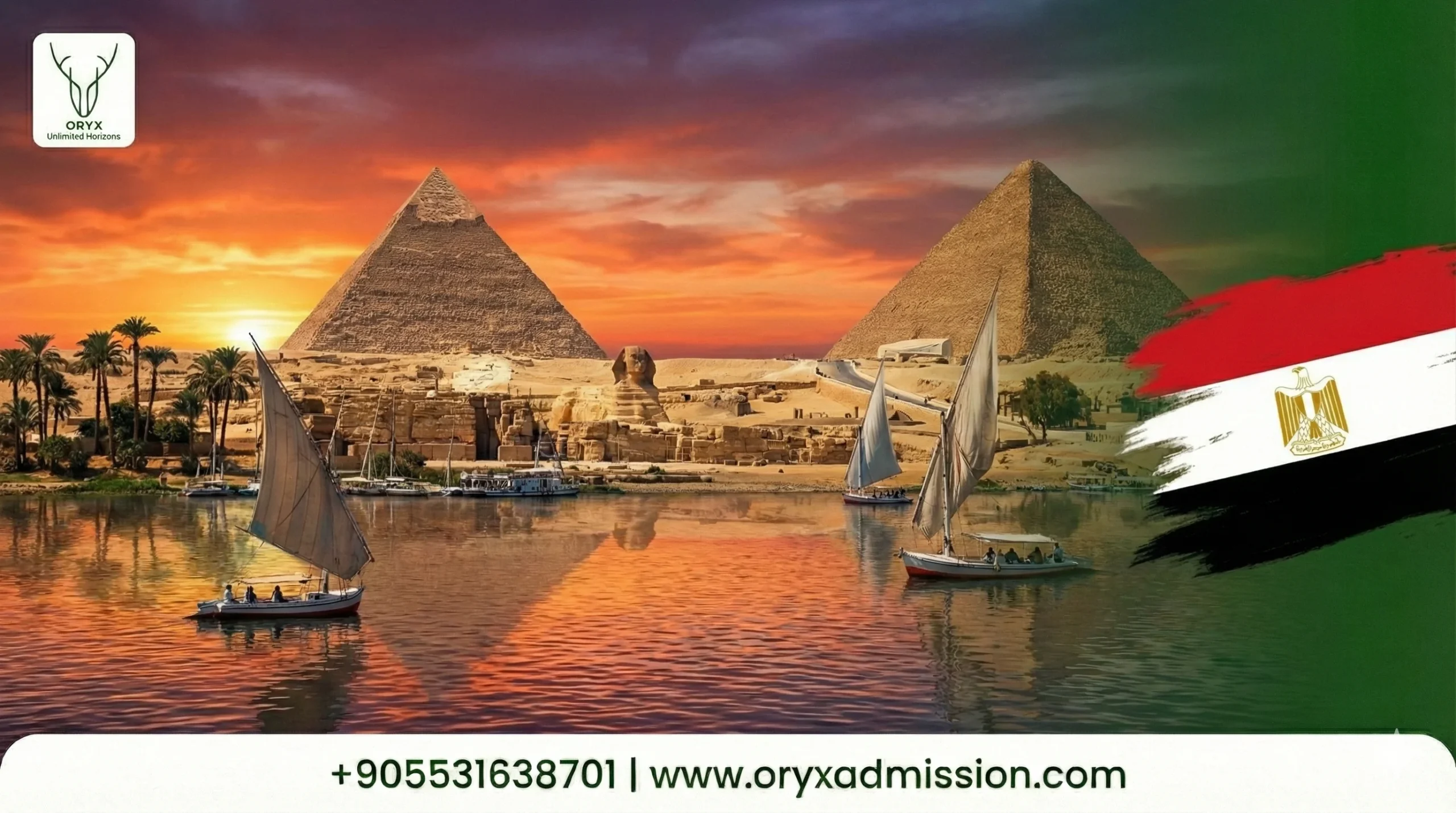 الدراسة في مصر