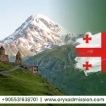 الدراسه في جورجيا